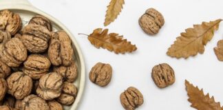 orzechy włoskie, orzech włoski, czy orzechy włoskie są zdrowe, orzechy włoskie kalorie, orzechy włoskie na diecie