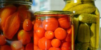 kiszonki, dlaczego warto jeść kiszonki, kiszonki wartość odżywcza, czy kiszonki są zdrowe, kiszone ogórki, kapusta kiszona