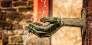 Czy trzeba czyścić budki lęgowe?