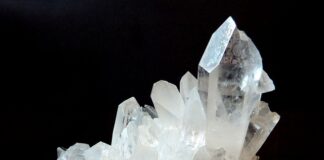 Co jeść zamiast białego sera?