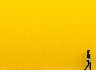 Jak się nazywa żółta śliwka?