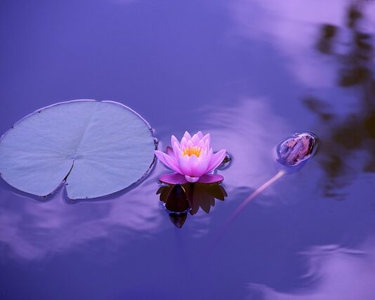 Czego nie wolno jeść przy chorych stawach?