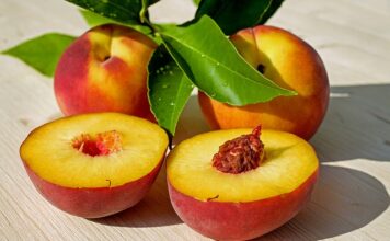 Czym różni się brzoskwinie od nektarynki?