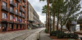 Jak nazywa się najstarsze drzewo na świecie?