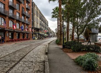 Jak nazywa się najstarsze drzewo na świecie?