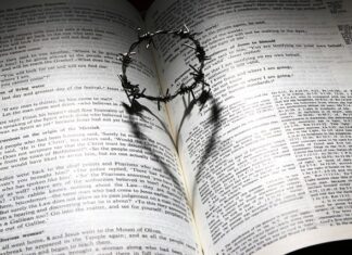 Co podać gościom w piątek? Co podać gościom w piątek?