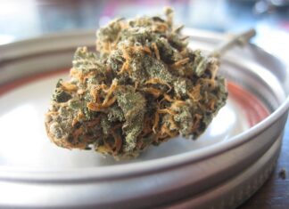 Czy ekstrakt waniliowy to to samo co olejek waniliowy? Czy ekstrakt waniliowy to to samo co olejek waniliowy?