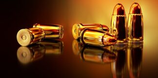 Jak powiesić kule dla ptaków?