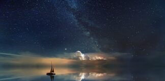 Co zrobić żeby nie była mętna woda w akwarium?