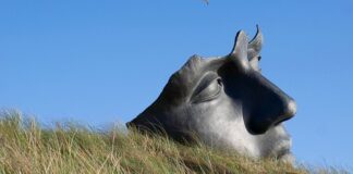 Jak uspokoić tarczycę?