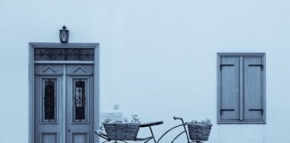 Czy trzeba przycinać brzoskwinie?