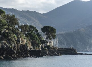 Ile kosztuje baton Fame MMA?