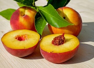 Jak przyciąć brzoskwinie w pierwszym roku po posadzeniu?