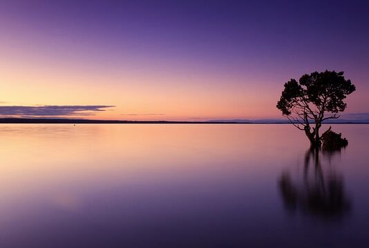 Czy wodę z basenu można wylać do ogrodu?