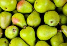 Jak zrobić gruszki karmelizowane? Jak zrobić gruszki karmelizowane?