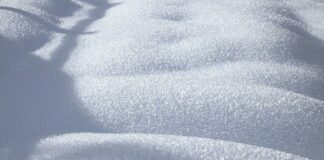 Jak upiec boczek żeby był miękki?