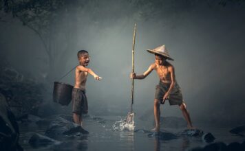 Jakie ryby mogą żyć bez filtra?