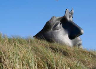Jak uspokoić psa w kojcu? Jak uspokoić psa w kojcu?