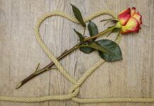 Jakie białko konopne? Jakie białko konopne?