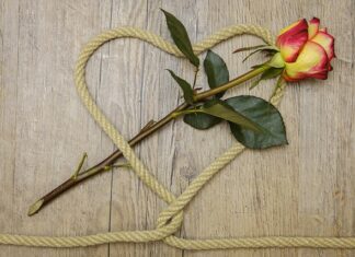 Jakie białko konopne?