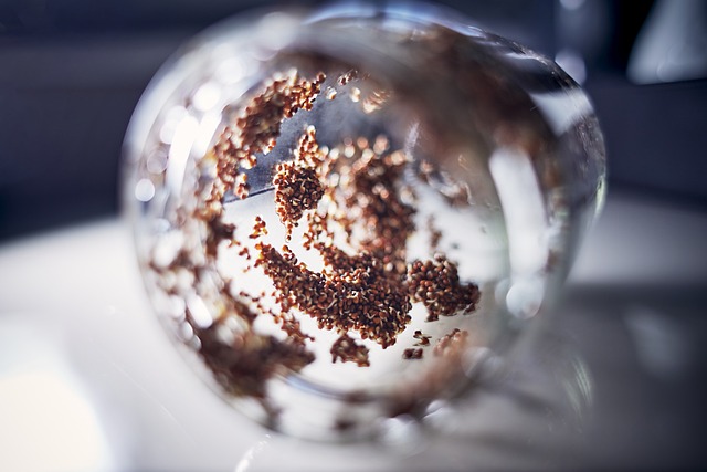 Jakie warzywa pasują do brokułów? Jakie warzywa pasują do brokułów?