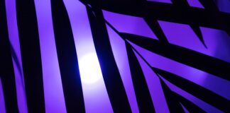 Co się dzieje z neonówką?