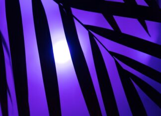 Co się dzieje z neonówką? Co się dzieje z neonówką?