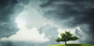 Z czego robi się zielony barwnik?