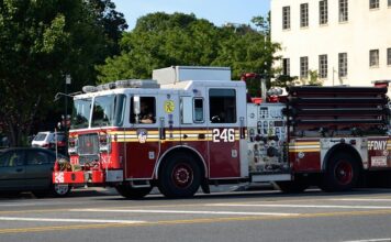 Co to jest AMI zbóż?