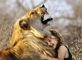 Co dać psu do zabawy?