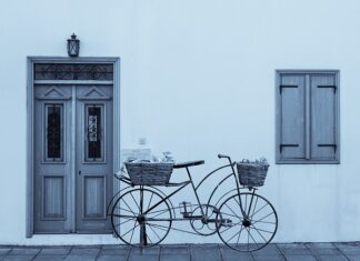 Kiedy przycinać drzewa brzoskwiniowe?