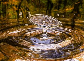 Czy liquidy są rakotwórcze?