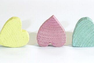 Jak dobrać rozmiar budy dla psa?