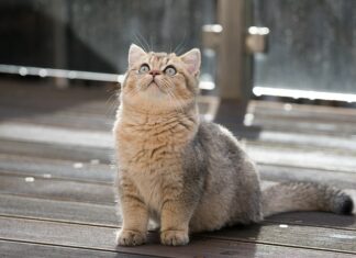 Co zrobić na śmierdzące bąki? Co zrobić na śmierdzące bąki?