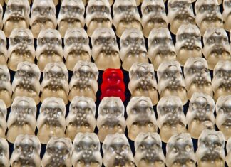 Czy można dodać żelatynę do budyniu?