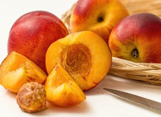 Na jakich pędach owocuje brzoskwinia?