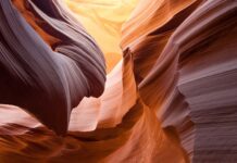 Jaki otwór dla wróbla? Jaki otwór dla wróbla?