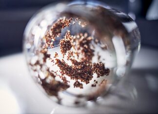 Jakie zioła pasują do brokułów? Jakie zioła pasują do brokułów?