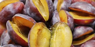 Jaką Sliwka w czekoladzie najlepsza?