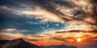 Czy złota rybka może być w kuli?