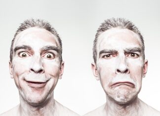 Co jedzą kosy latem?