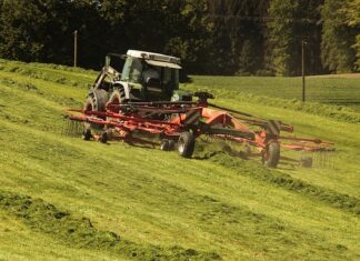 Jak uwolnić gazy z jelit?