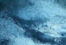 Ile bekon może lezec w lodówce?