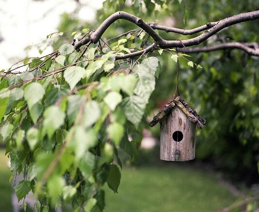 Co można włożyć do karmnika?