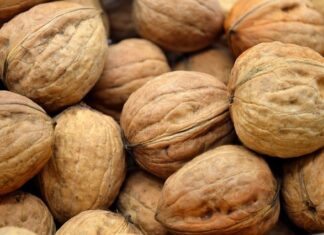 Czy orzech włoski zbija cukier?