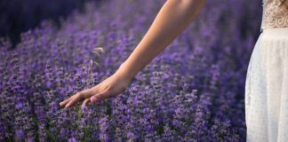 Co grozi za trzymanie psa w kojcu?